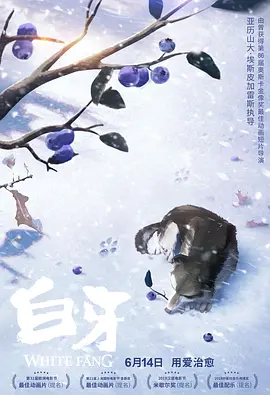 一区二区不卡