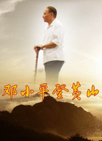 成年人影片在线观看