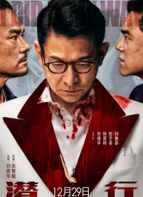 爱爱动态