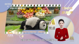 三上悠亚破解版